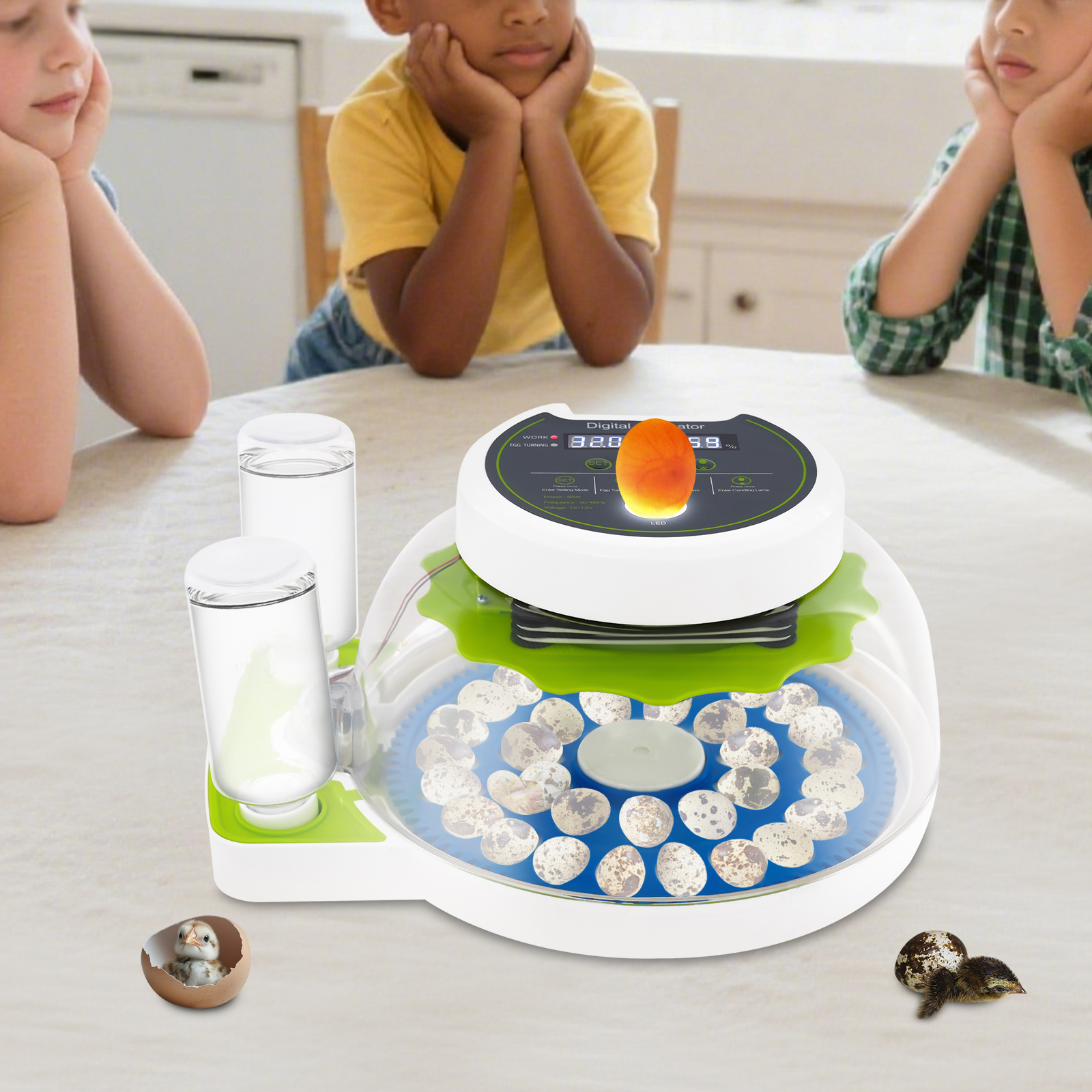 Quail Egg Incubator - 50W 12.2*9.84*6.1in Quail Egg Incubator Green