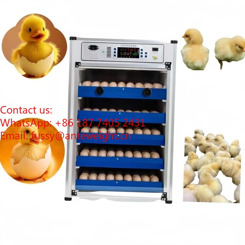 Quail Egg Incubator - 2026 Commercial-Grade 100 Eggs Automatic Egg