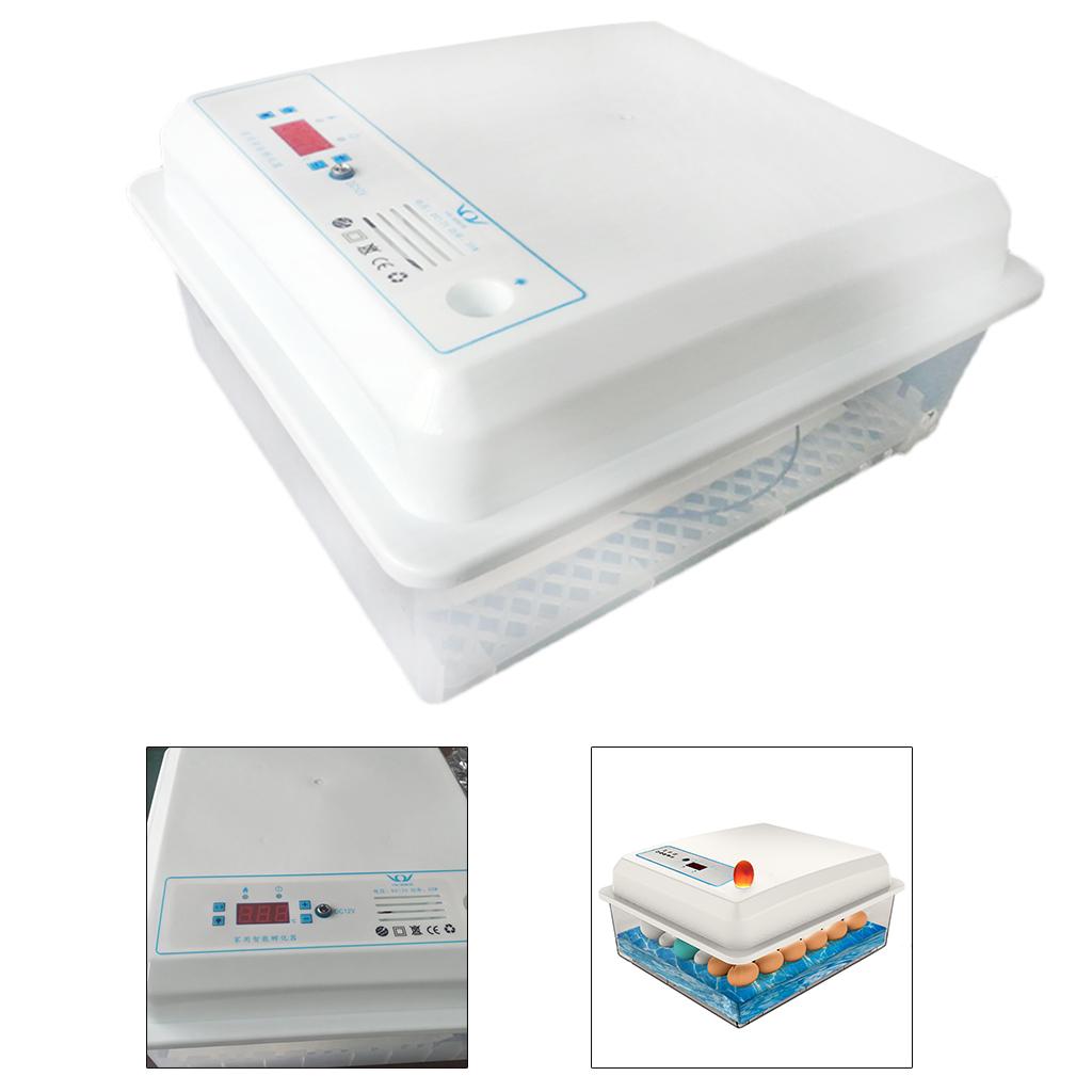 Quail Egg Incubator - Automatic Egg Incubator Fully for Hatching