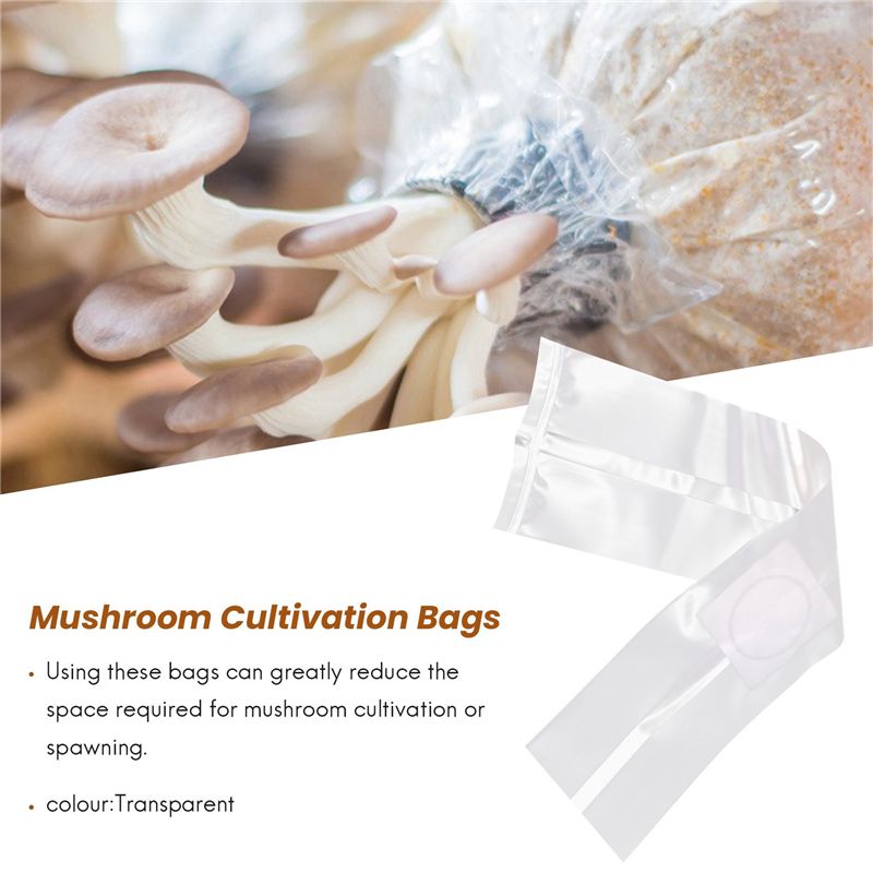 100Pcs Mushroom Growing Bag Sp - Mushroom Spawn Bag recensie en prijs