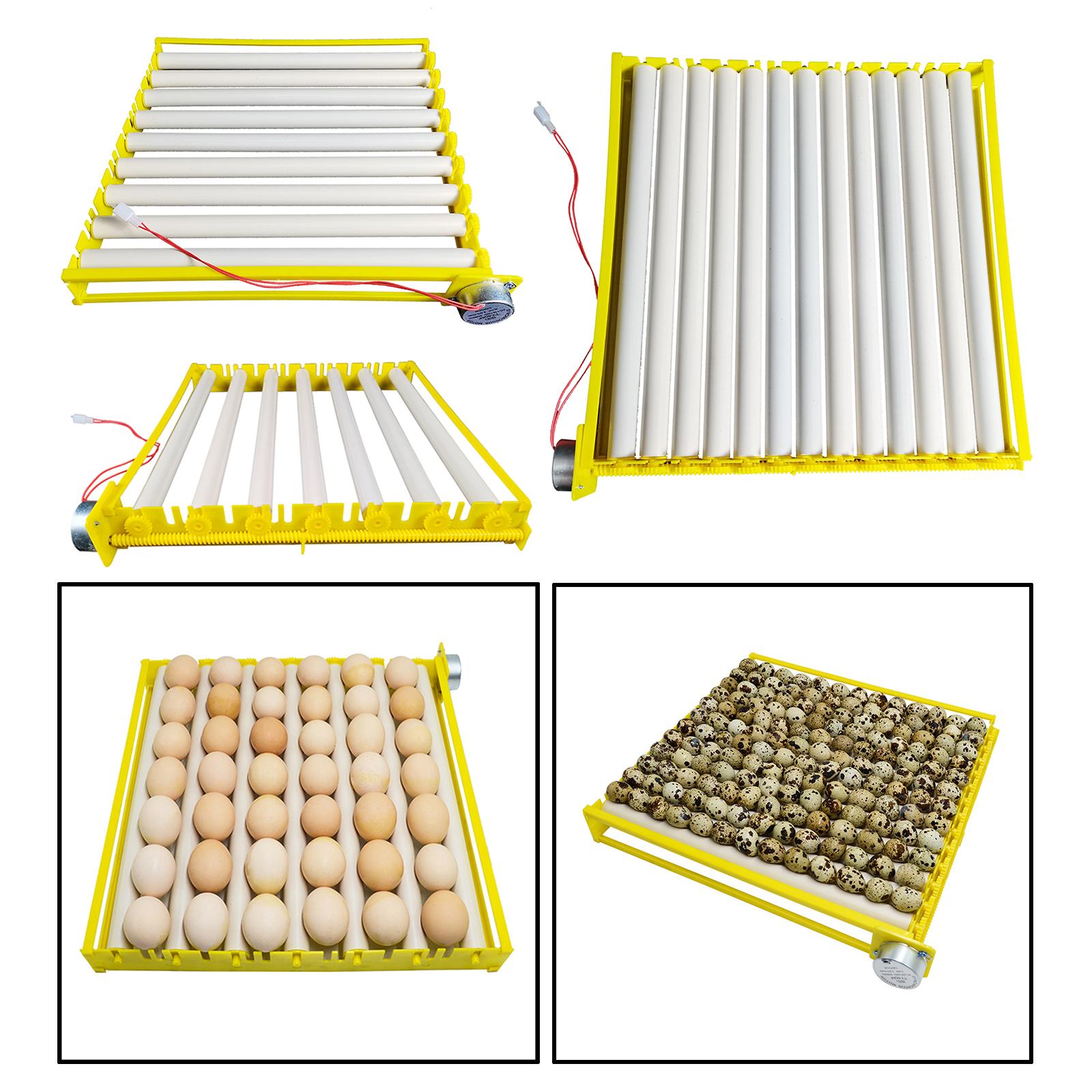 Plastic Egg Incubator Tray Aut - Quail Egg Incubator recensie en prijs