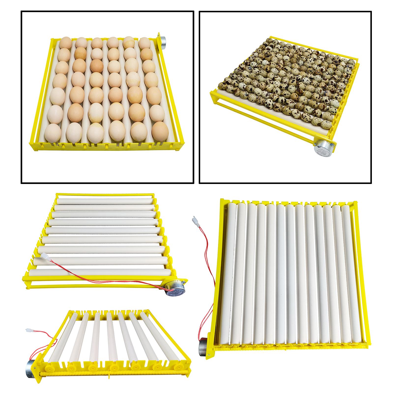 Plastic Egg Incubator Tray Aut - Quail Egg Incubator recensie en prijs