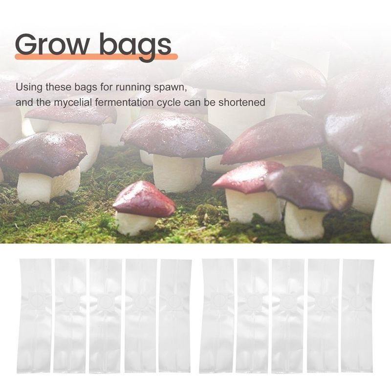 SEWS-100PCS Rye Grain Berries  - Mushroom Spawn Bag recensie en prijs