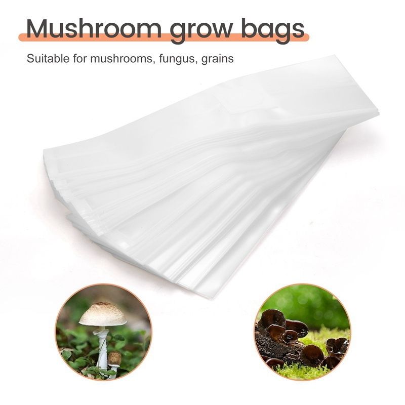 SEWS-100PCS Rye Grain Berries  - Mushroom Spawn Bag recensie en prijs