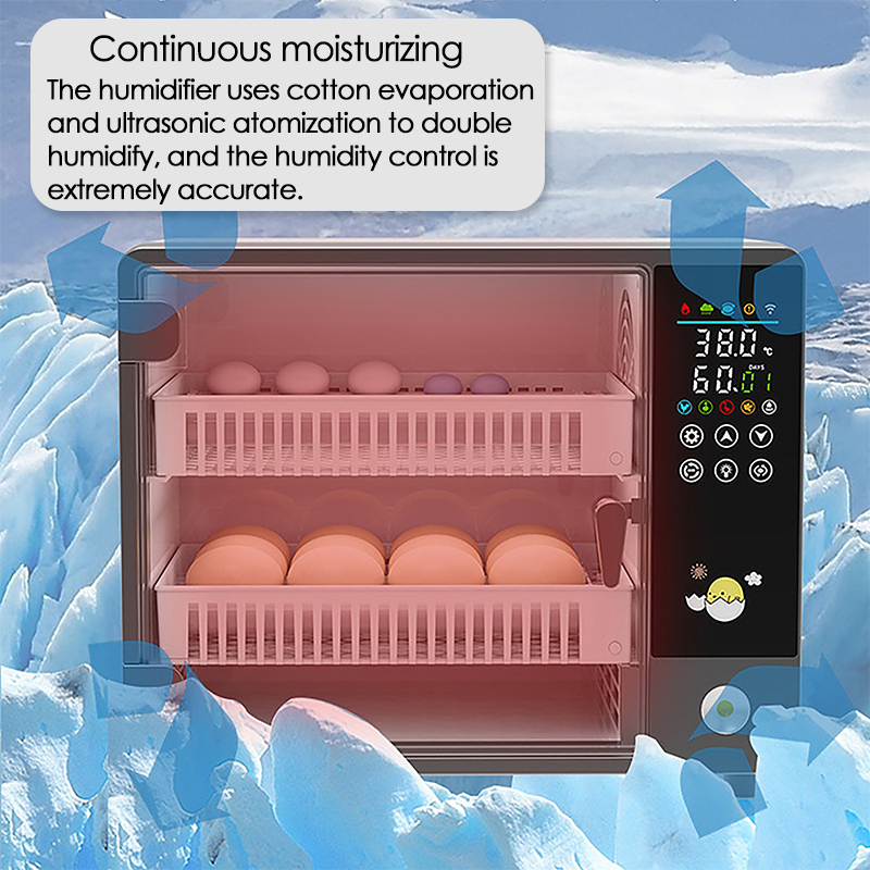 24 Eggs Full Automatic Turning - Quail Egg Incubator recensie en prijs