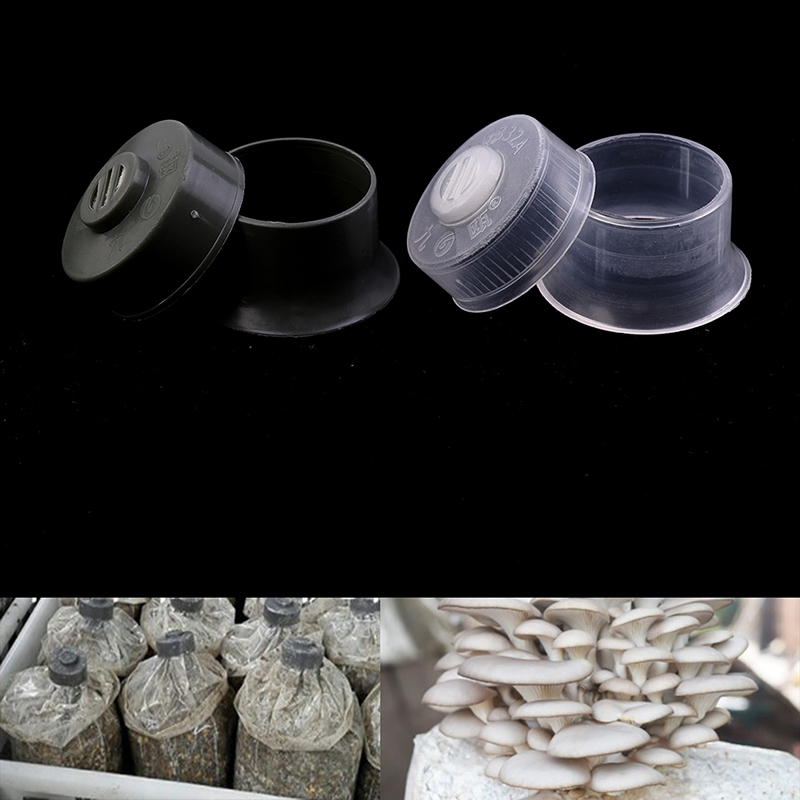 20pcs Mushroom Spawn Grow Bag  - Mushroom Spawn Bag recensie en prijs