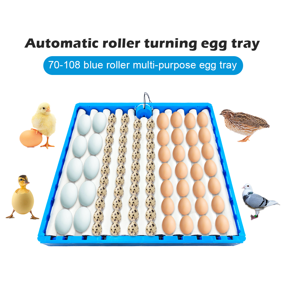Automatic 360 Degree Rotary Eg - Quail Egg Incubator recensie en prijs