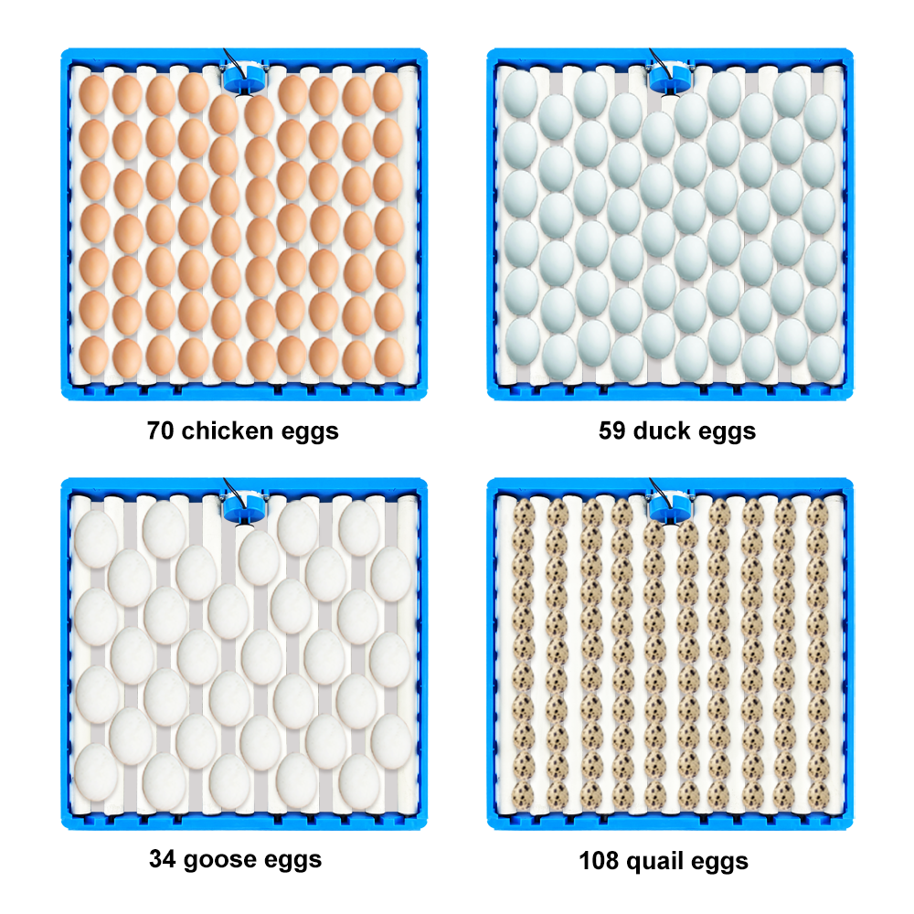 Automatic 360 Degree Rotary Eg - Quail Egg Incubator recensie en prijs