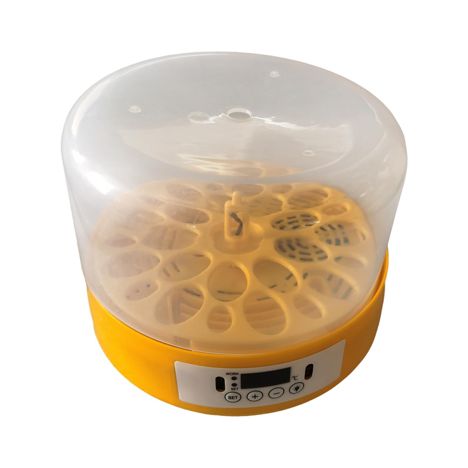 Egg Incubator Egg Turner Egg H - Quail Egg Incubator recensie en prijs