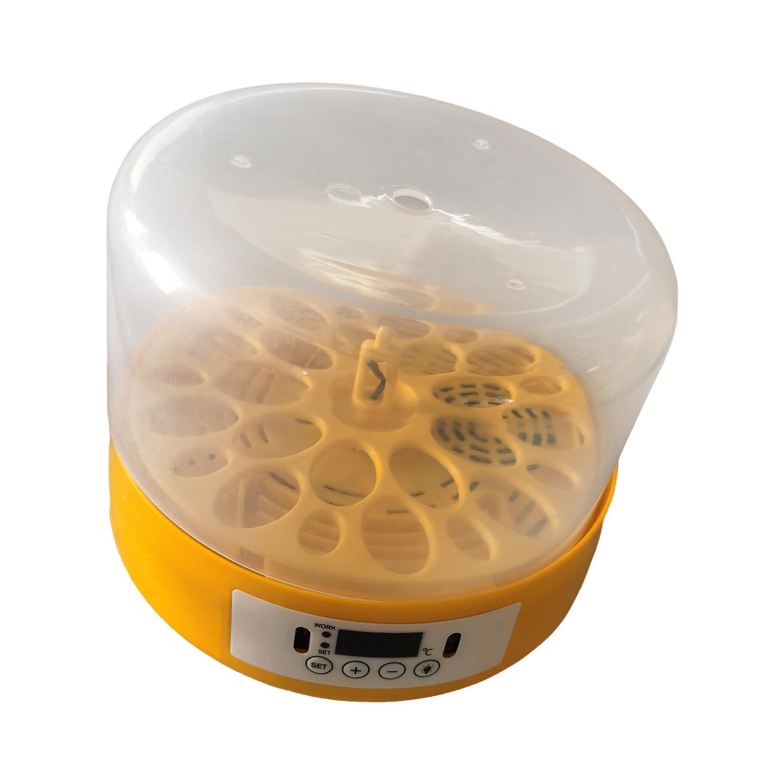 Egg Incubator Egg Turner Egg H - Quail Egg Incubator recensie en prijs