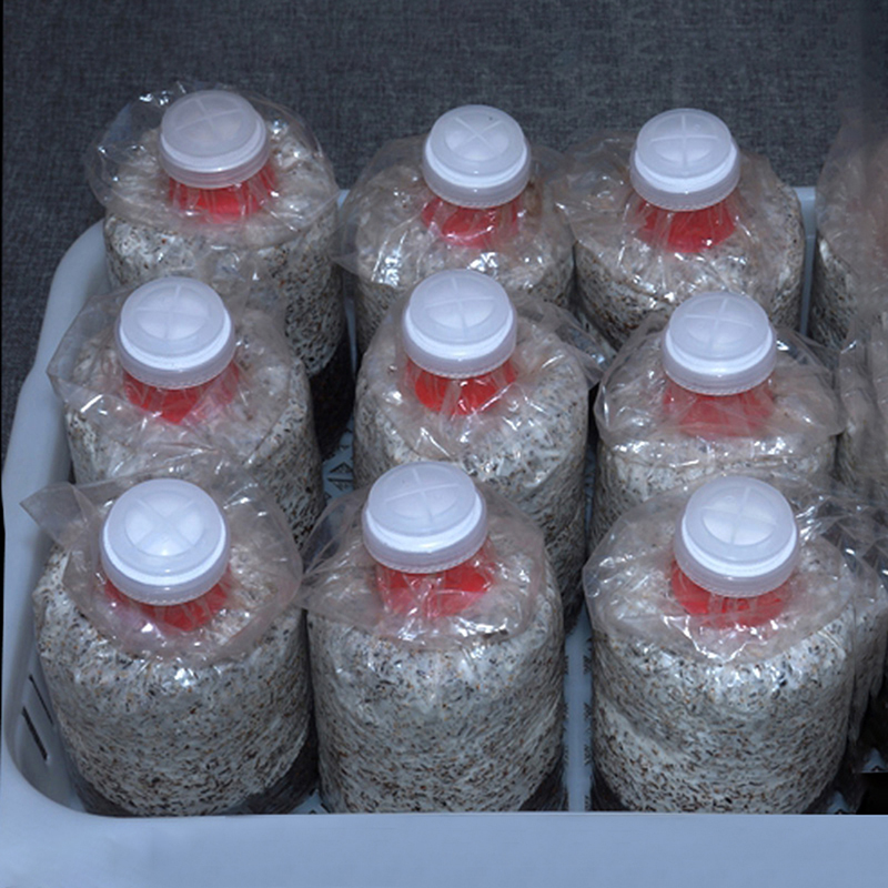 10Pcs Mushroom Grow Bag Sealer - Mushroom Spawn Bag recensie en prijs