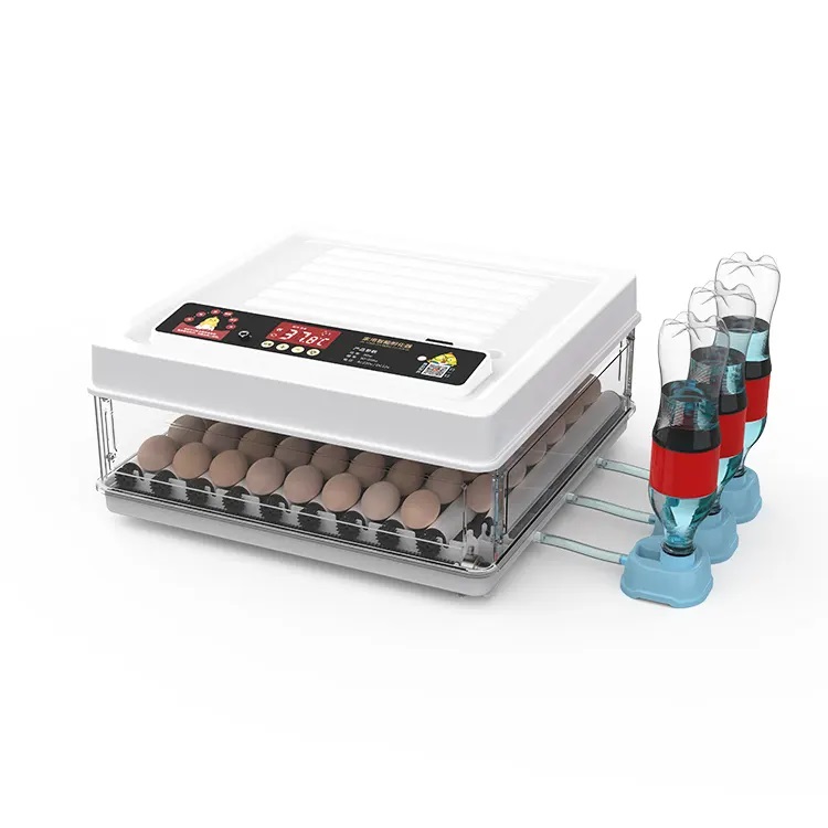 Fully Automatic 130 Capacity E - Quail Egg Incubator recensie en prijs