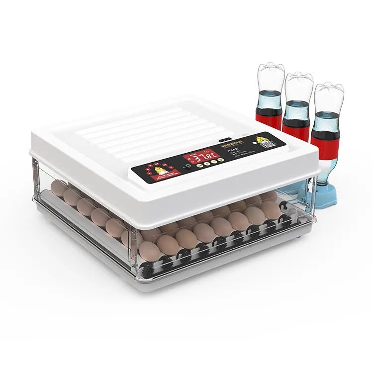 Fully Automatic 130 Capacity E - Quail Egg Incubator recensie en prijs
