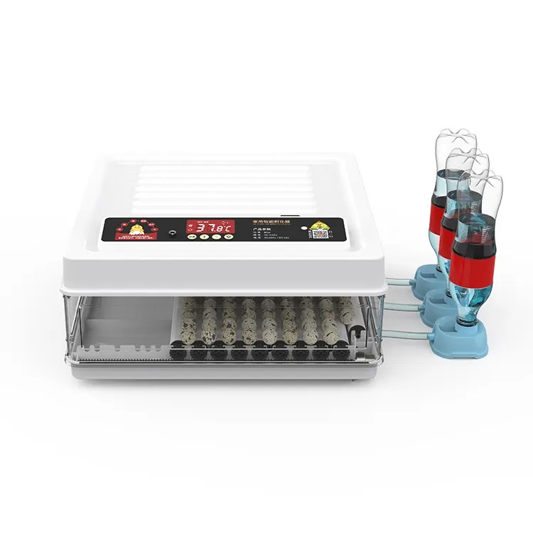 Fully Automatic 130 Capacity E - Quail Egg Incubator recensie en prijs