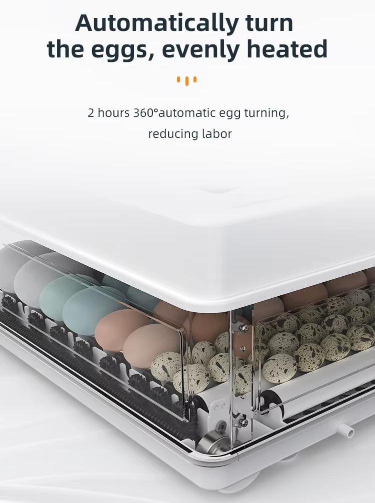 Fully Automatic 130 Capacity E - Quail Egg Incubator recensie en prijs