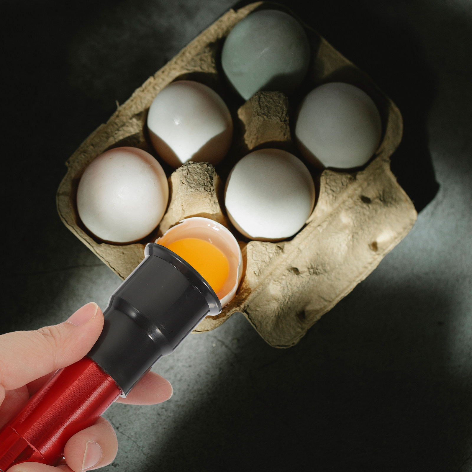 Egg Candler for Chicken Duck G - Quail Egg Incubator recensie en prijs