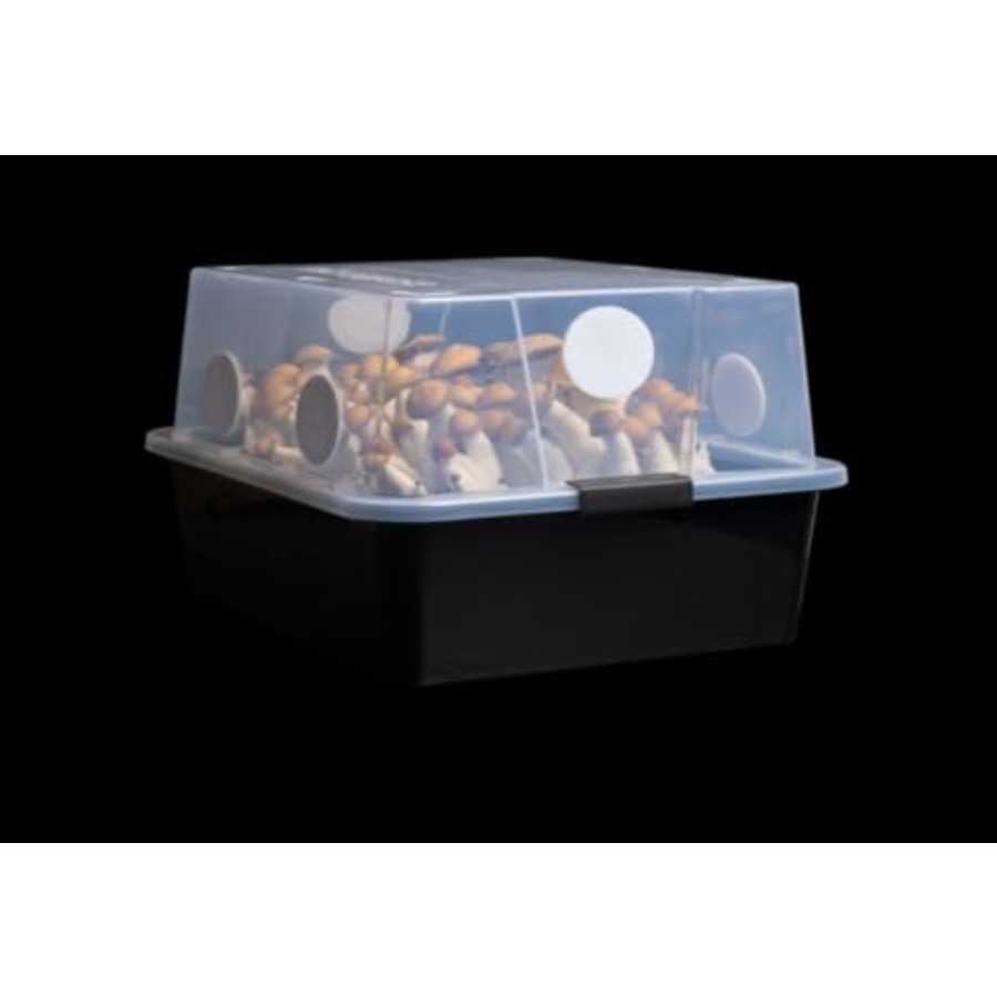 Mushroom Monotub Large 66Q Gro - Mushroom Spawn Bag recensie en prijs