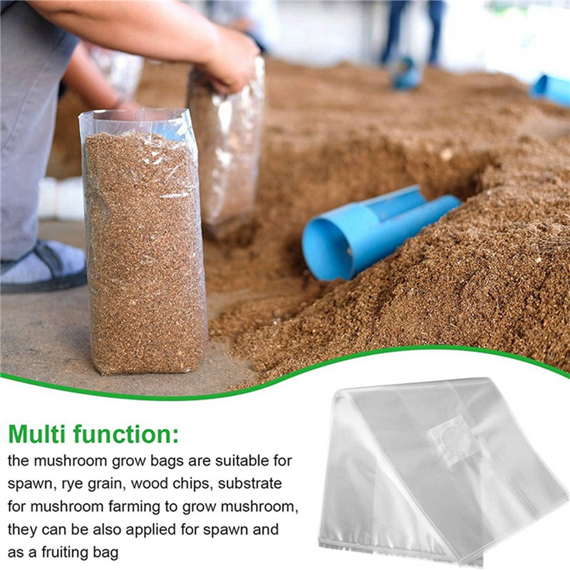 AA81-300Pcs Mushroom Growing B - Mushroom Spawn Bag recensie en prijs