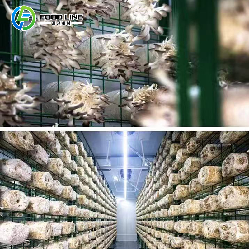 Customized Mushroom Growing Co - Mushroom Spawn Bag recensie en prijs