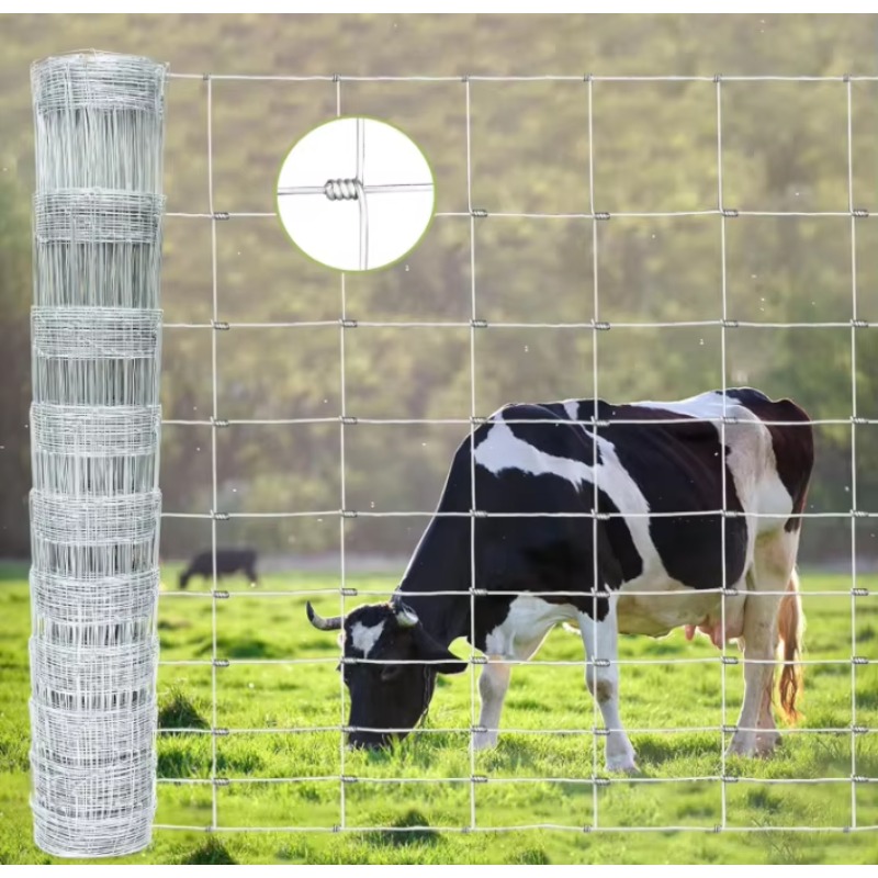 Customized Iron Wire Mesh Fixe - Agriculture Farming Usa recensie en prijs