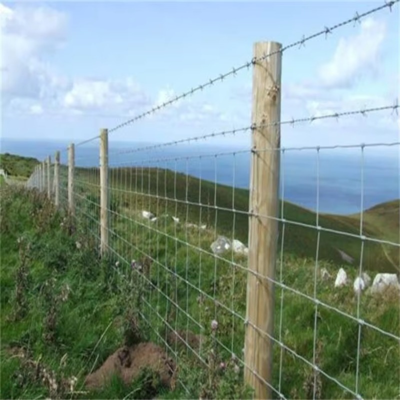 Customized Iron Wire Mesh Fixe - Agriculture Farming Usa recensie en prijs