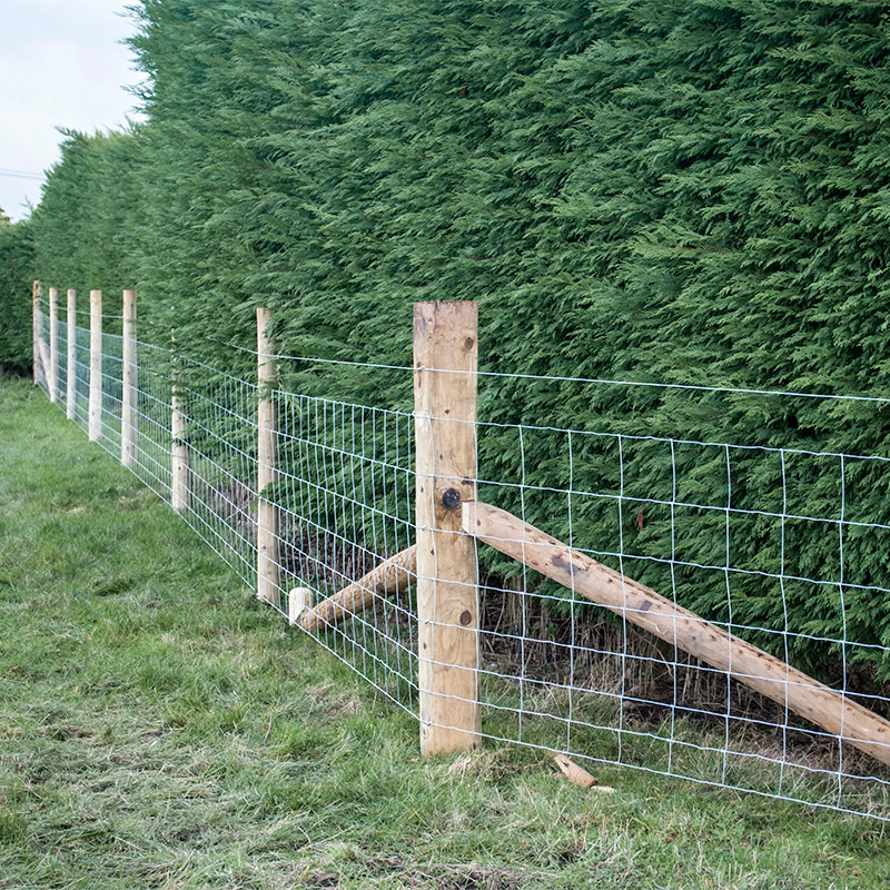 Customized Iron Wire Mesh Fixe - Agriculture Farming Usa recensie en prijs