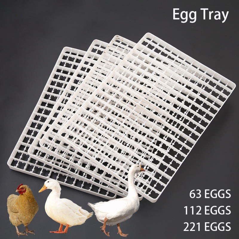 1Pcs Egg Tray For Incubator Au - Quail Egg Incubator recensie en prijs