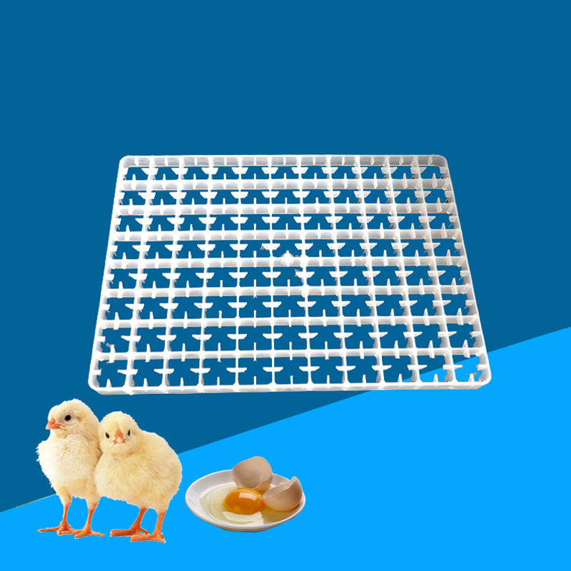 1Pcs Egg Tray For Incubator Au - Quail Egg Incubator recensie en prijs