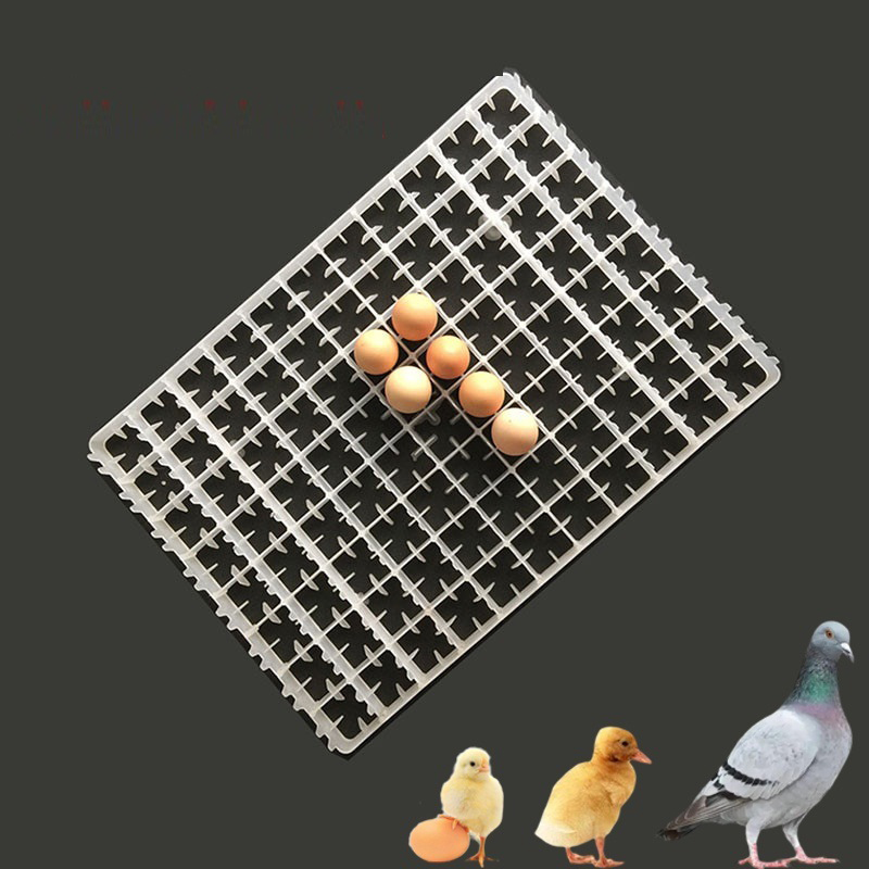 1Pcs Egg Tray For Incubator Au - Quail Egg Incubator recensie en prijs