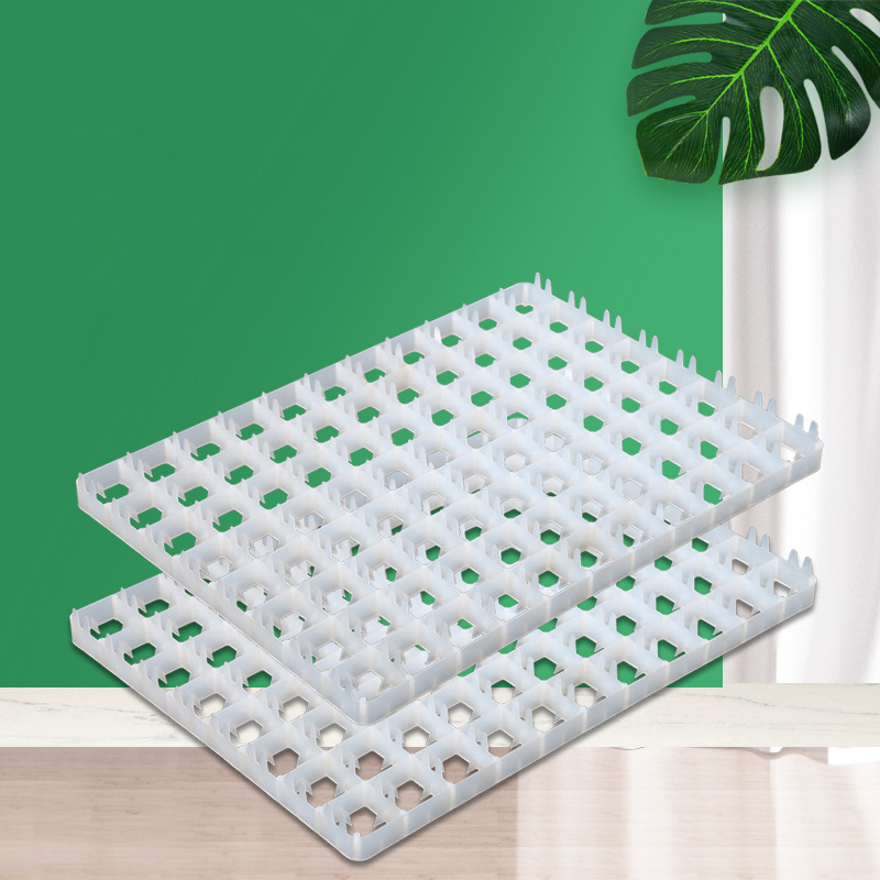 1Pcs Egg Tray For Incubator Au - Quail Egg Incubator recensie en prijs