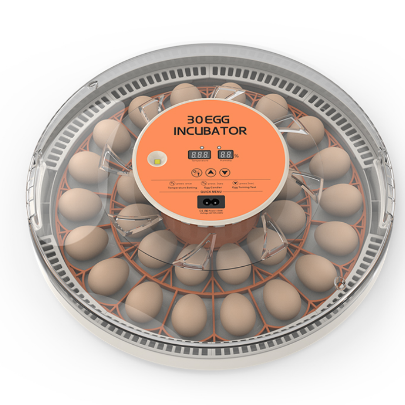 STLF30 Eggs Home Use Incubator - Quail Egg Incubator recensie en prijs