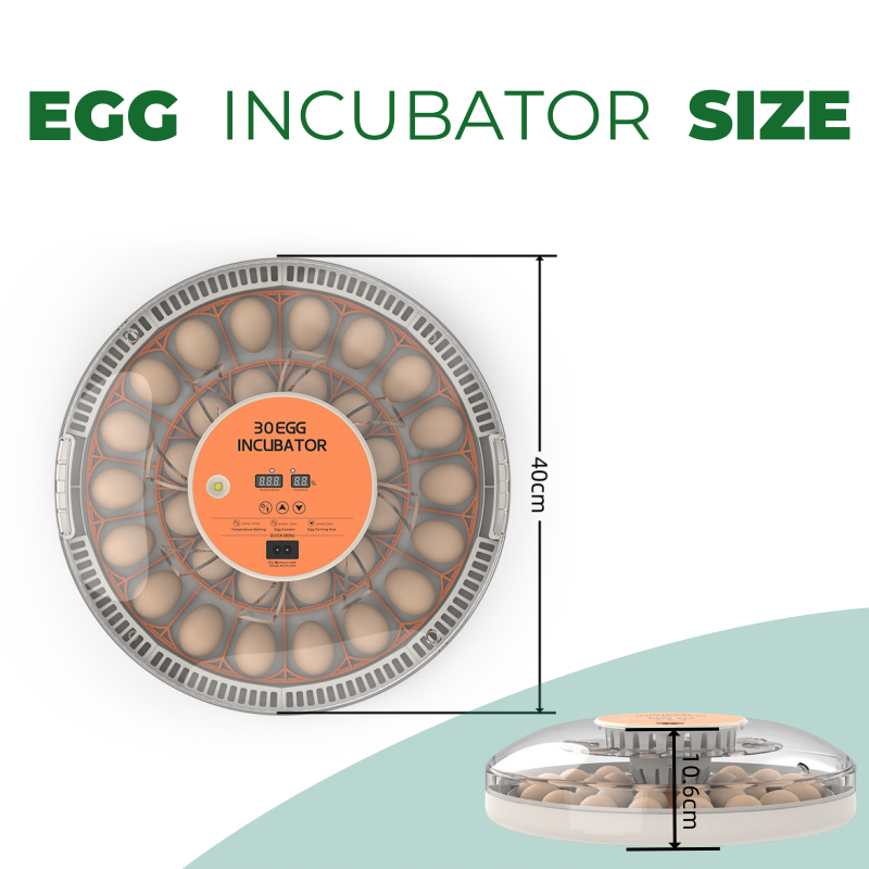STLF30 Eggs Home Use Incubator - Quail Egg Incubator recensie en prijs