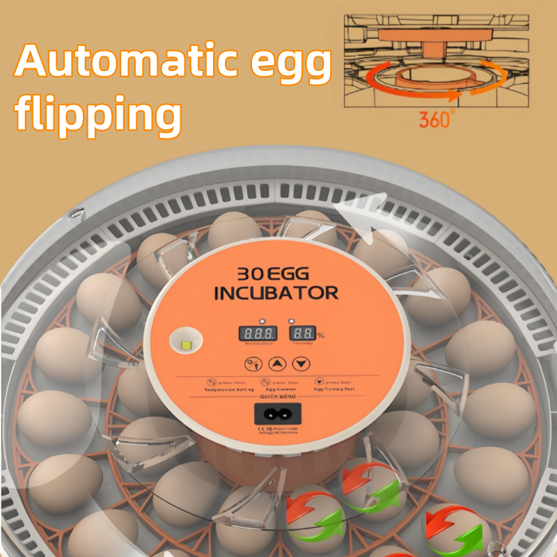 STLF30 Eggs Home Use Incubator - Quail Egg Incubator recensie en prijs