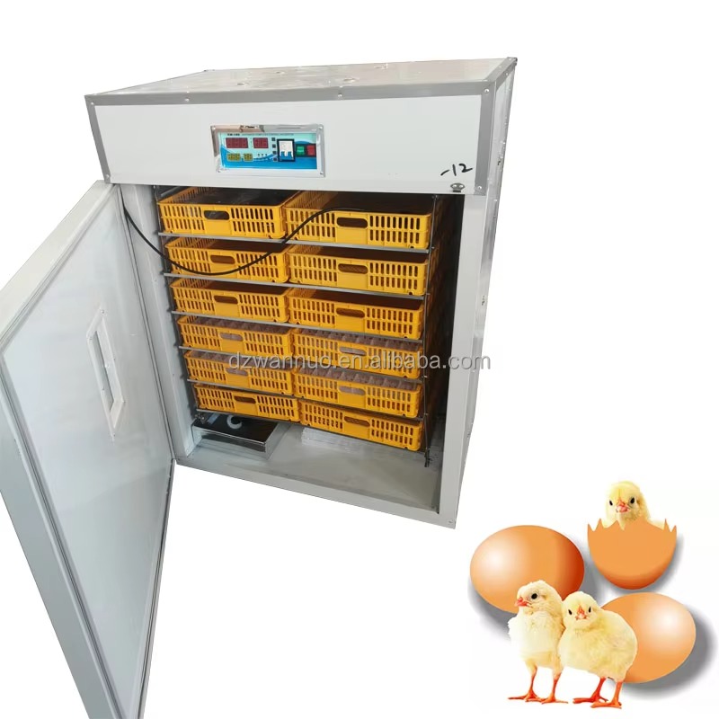 Wholesale New Full-automatic I - Quail Egg Incubator recensie en prijs