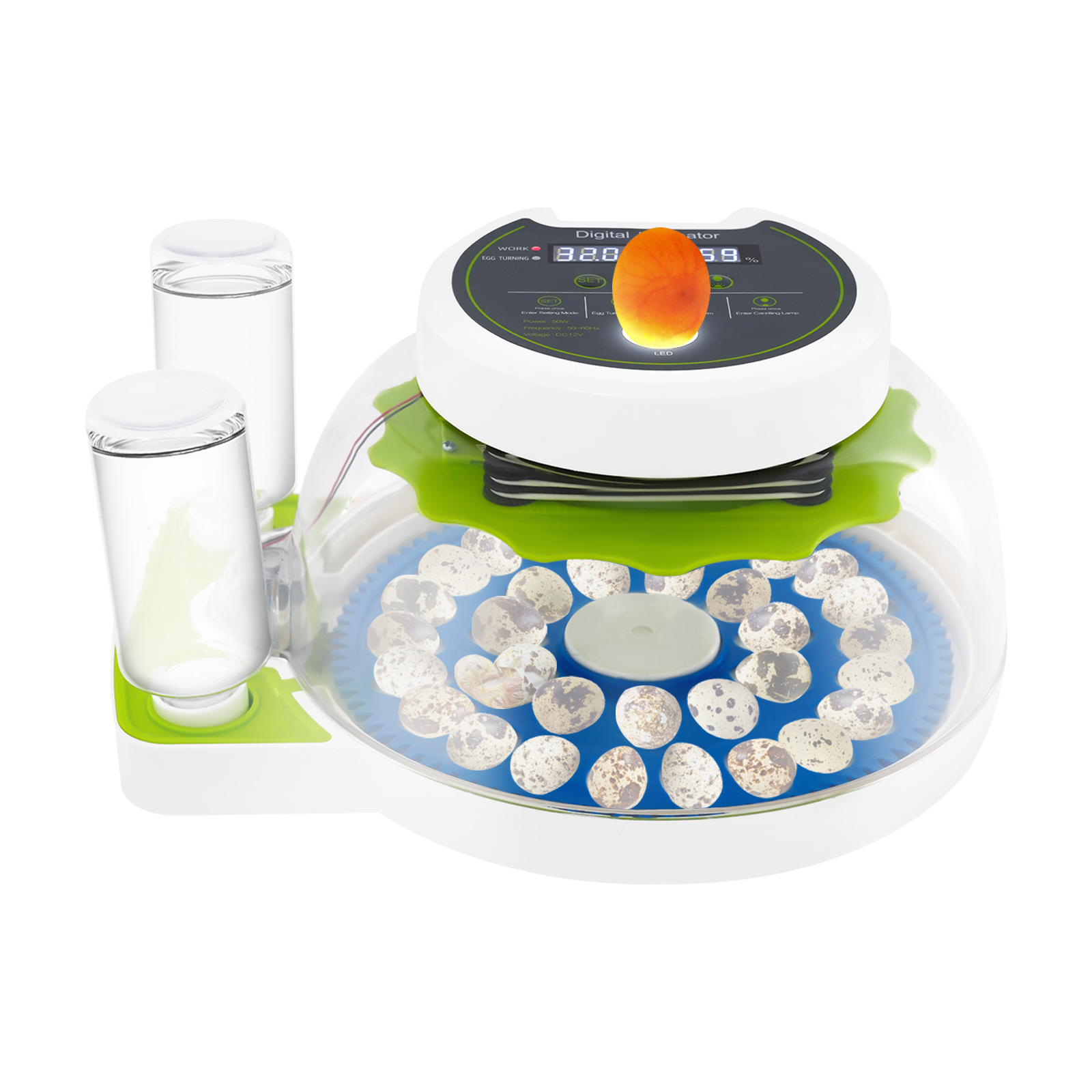 50W 12.2*9.84*6.1in Quail Egg  - Quail Egg Incubator recensie en prijs