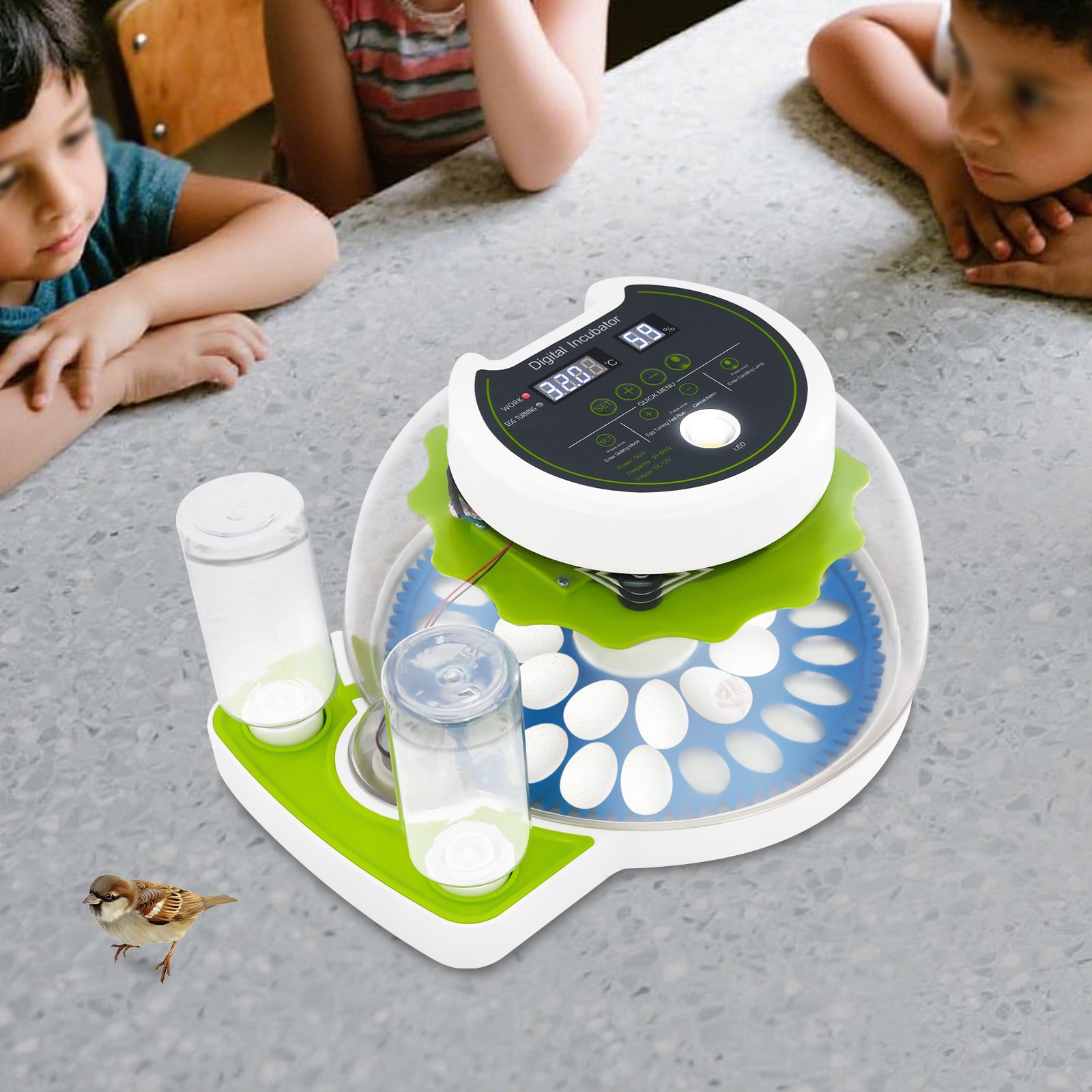 50W 12.2*9.84*6.1in Quail Egg  - Quail Egg Incubator recensie en prijs