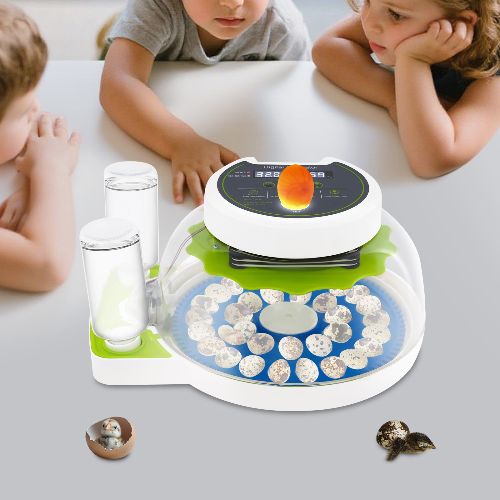 50W 12.2*9.84*6.1in Quail Egg  - Quail Egg Incubator recensie en prijs