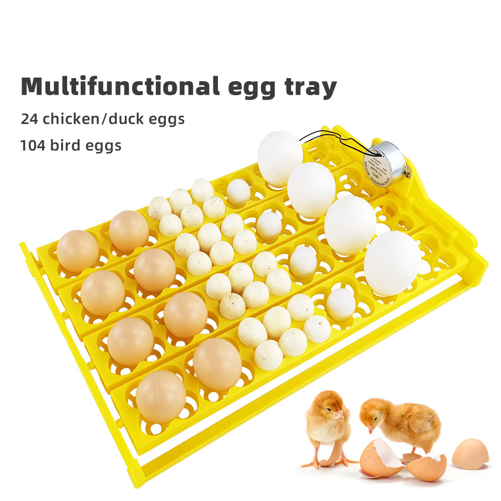 24pcs Eggs Incubator Tray Auto - Quail Egg Incubator recensie en prijs