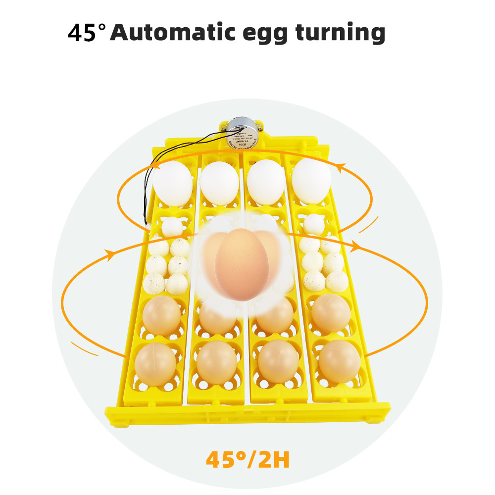 24pcs Eggs Incubator Tray Auto - Quail Egg Incubator recensie en prijs