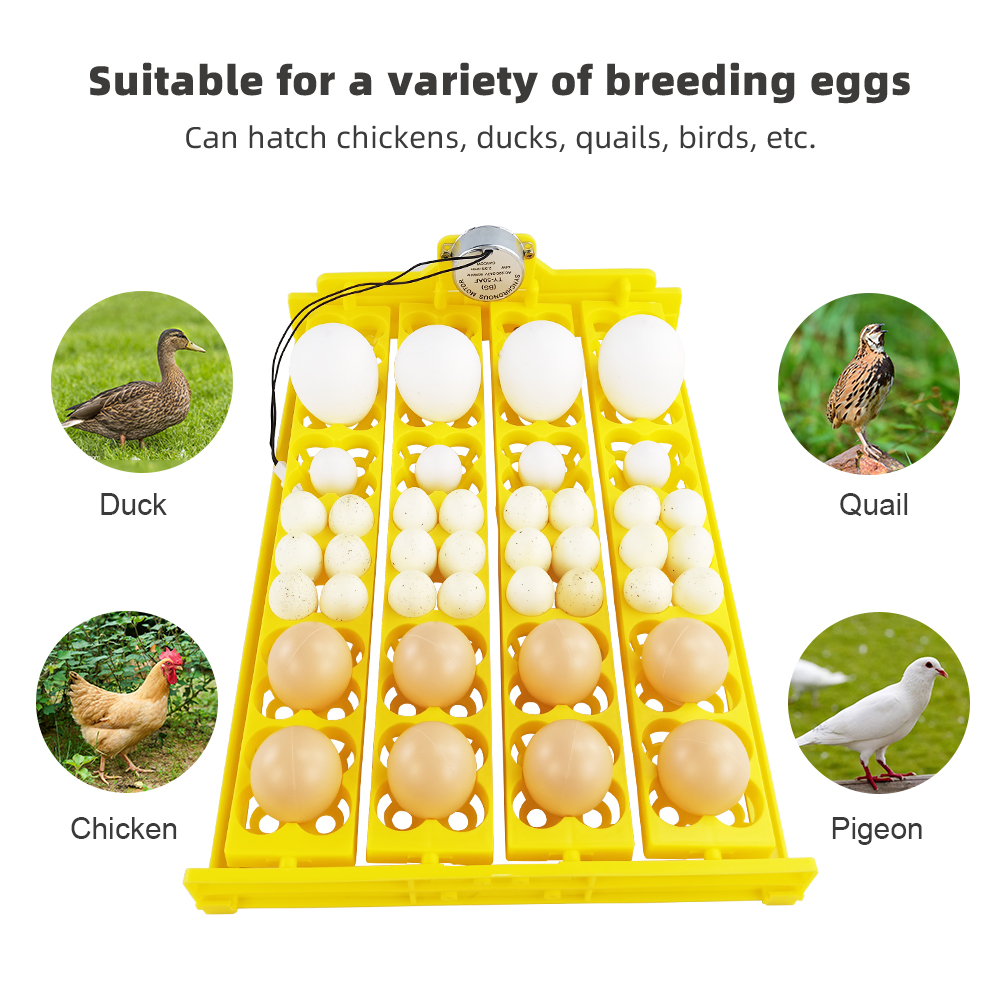 24pcs Eggs Incubator Tray Auto - Quail Egg Incubator recensie en prijs