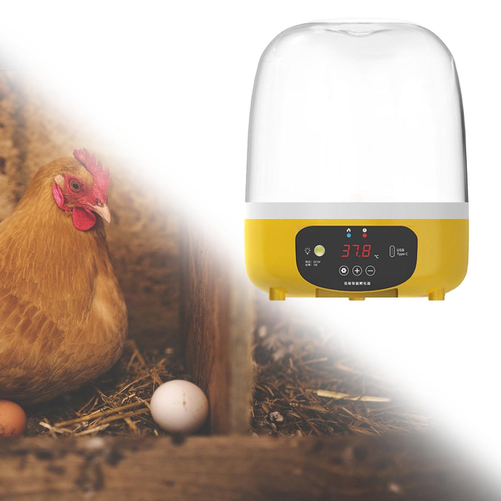 Digital Automatic Egg Incubato - Quail Egg Incubator recensie en prijs