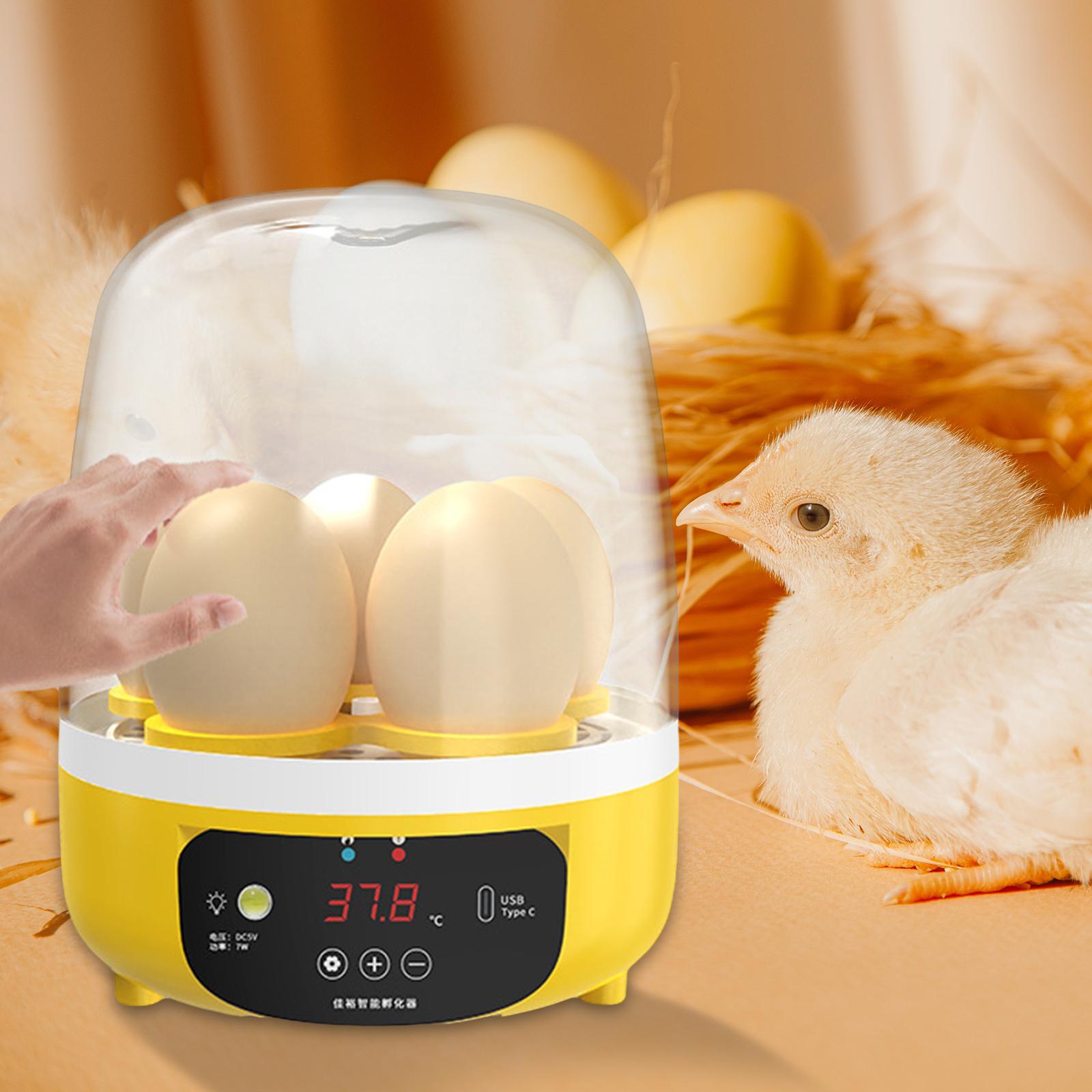 Digital Automatic Egg Incubato - Quail Egg Incubator recensie en prijs