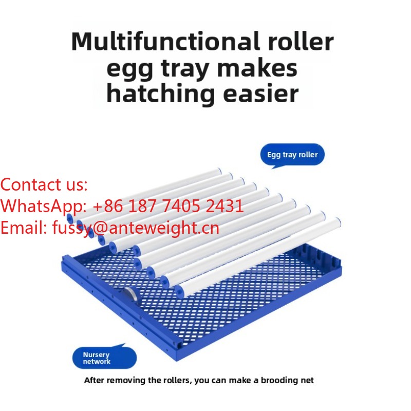 2026 Commercial-Grade 100 Eggs - Quail Egg Incubator recensie en prijs