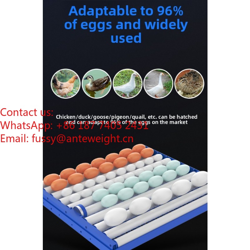 2026 Commercial-Grade 100 Eggs - Quail Egg Incubator recensie en prijs