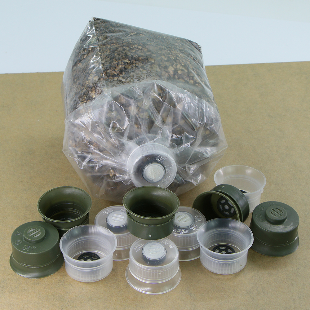 20/50pcs Mushroom Spawn Grow B - Mushroom Spawn Bag recensie en prijs