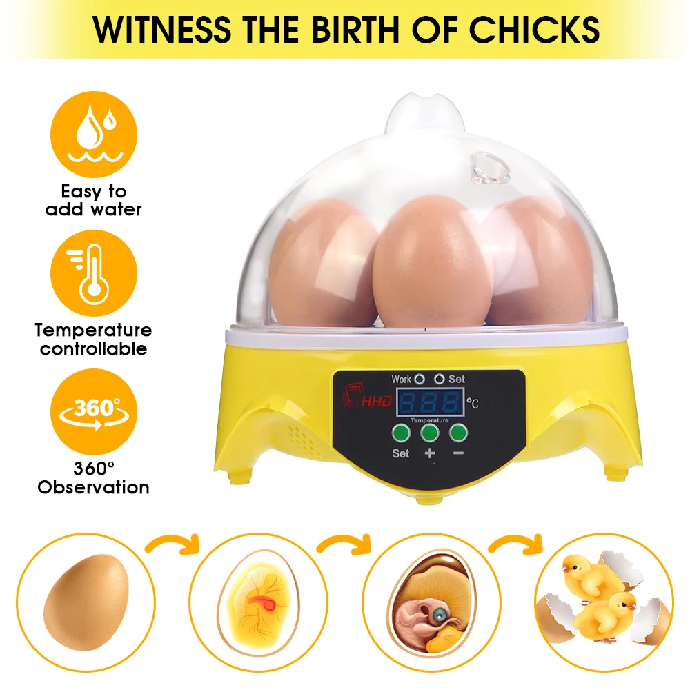 7 Capacity- Mini Sized Intelli - Quail Egg Incubator recensie en prijs