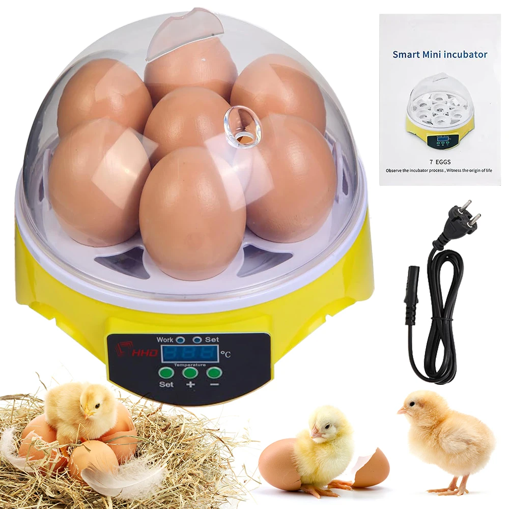 7 Capacity- Mini Sized Intelli - Quail Egg Incubator recensie en prijs