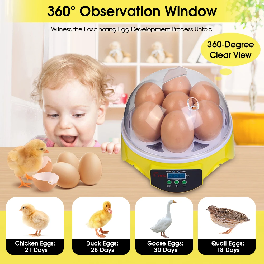 7 Capacity- Mini Sized Intelli - Quail Egg Incubator recensie en prijs