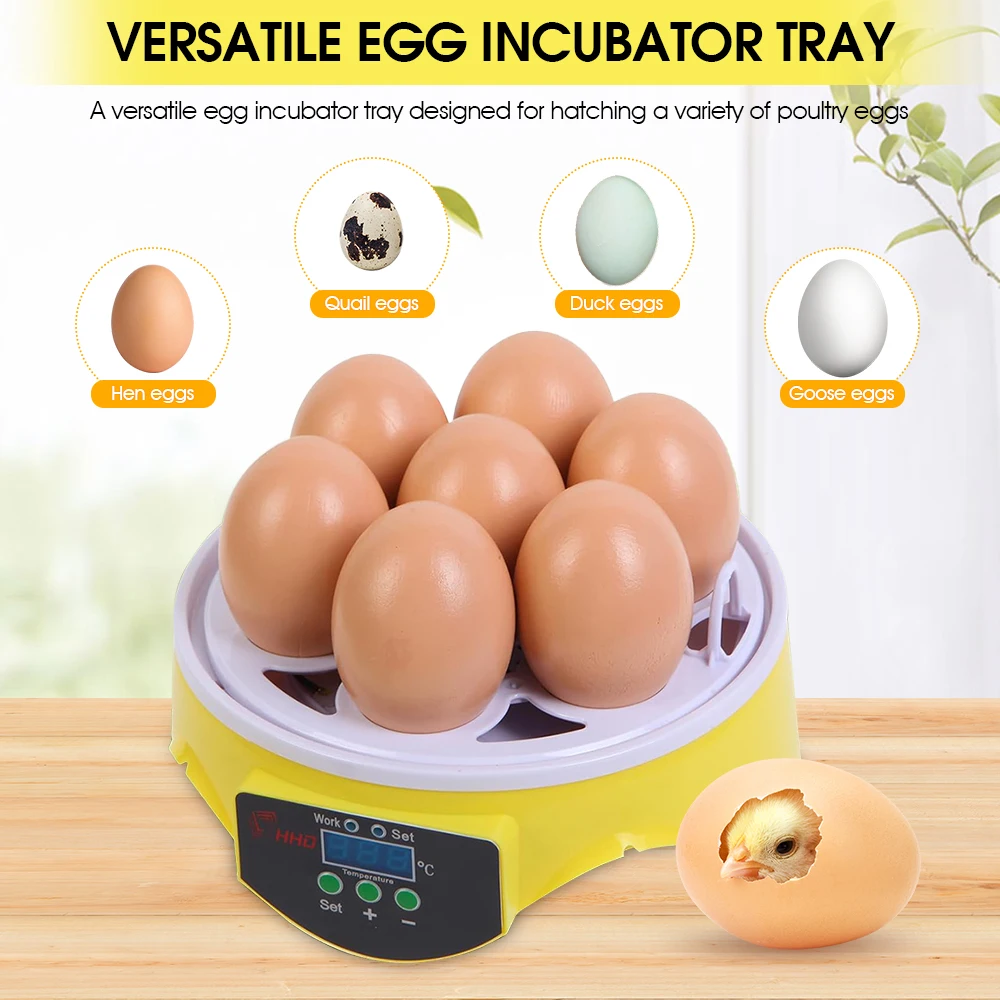 7 Capacity- Mini Sized Intelli - Quail Egg Incubator recensie en prijs