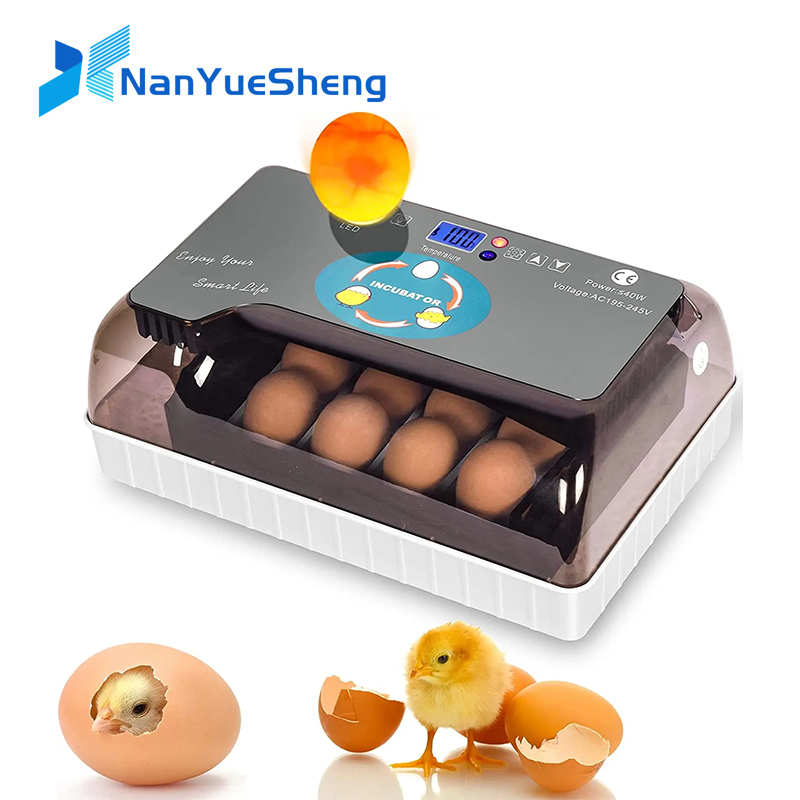 Automatic HHD Best Digital 12  - Quail Egg Incubator recensie en prijs